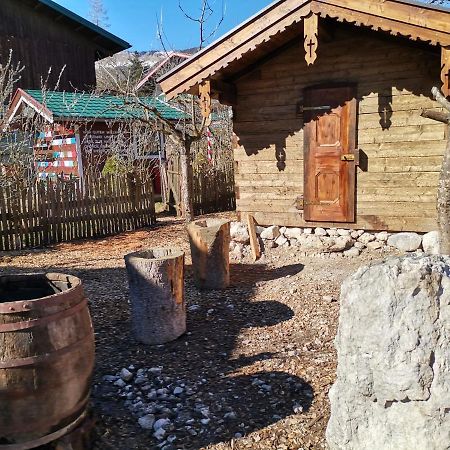 Campingplatz Torrenerhof Golling an der Salzach Exteriör bild