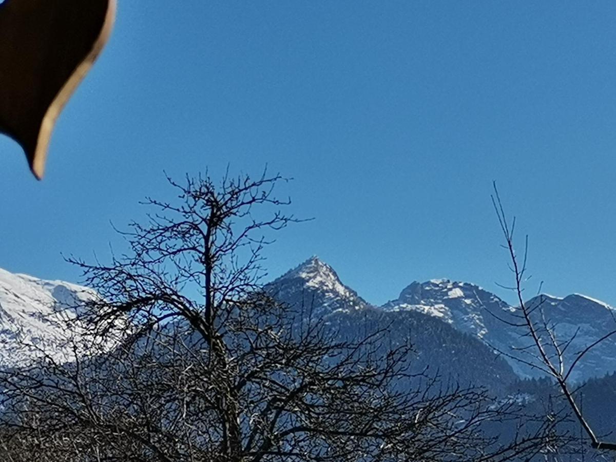 Campingplatz Torrenerhof Golling an der Salzach Exteriör bild
